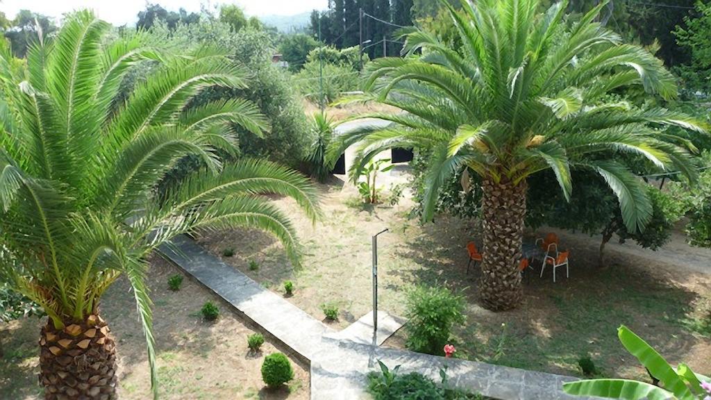 Villa Alexandra Ρόδα Εξωτερικό φωτογραφία