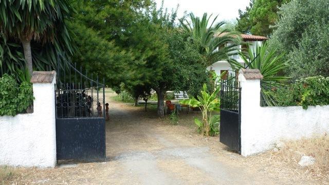 Villa Alexandra Ρόδα Εξωτερικό φωτογραφία