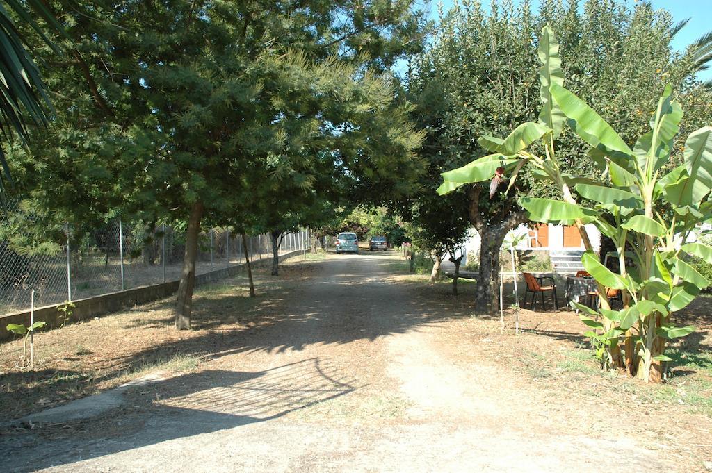 Villa Alexandra Ρόδα Εξωτερικό φωτογραφία